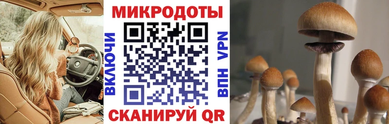 shop телеграм  Холмск  Галлюциногенные грибы MAGIC MUSHROOMS  blacksprut ссылки 